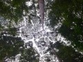 Tn 0492 DSC 5811